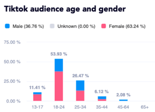 Parents influenceurs_audience tiktok