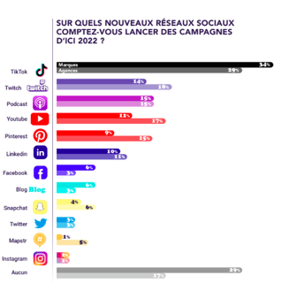 nouveaux-reseaux sociaux pour lancer les capagnes dinfluence