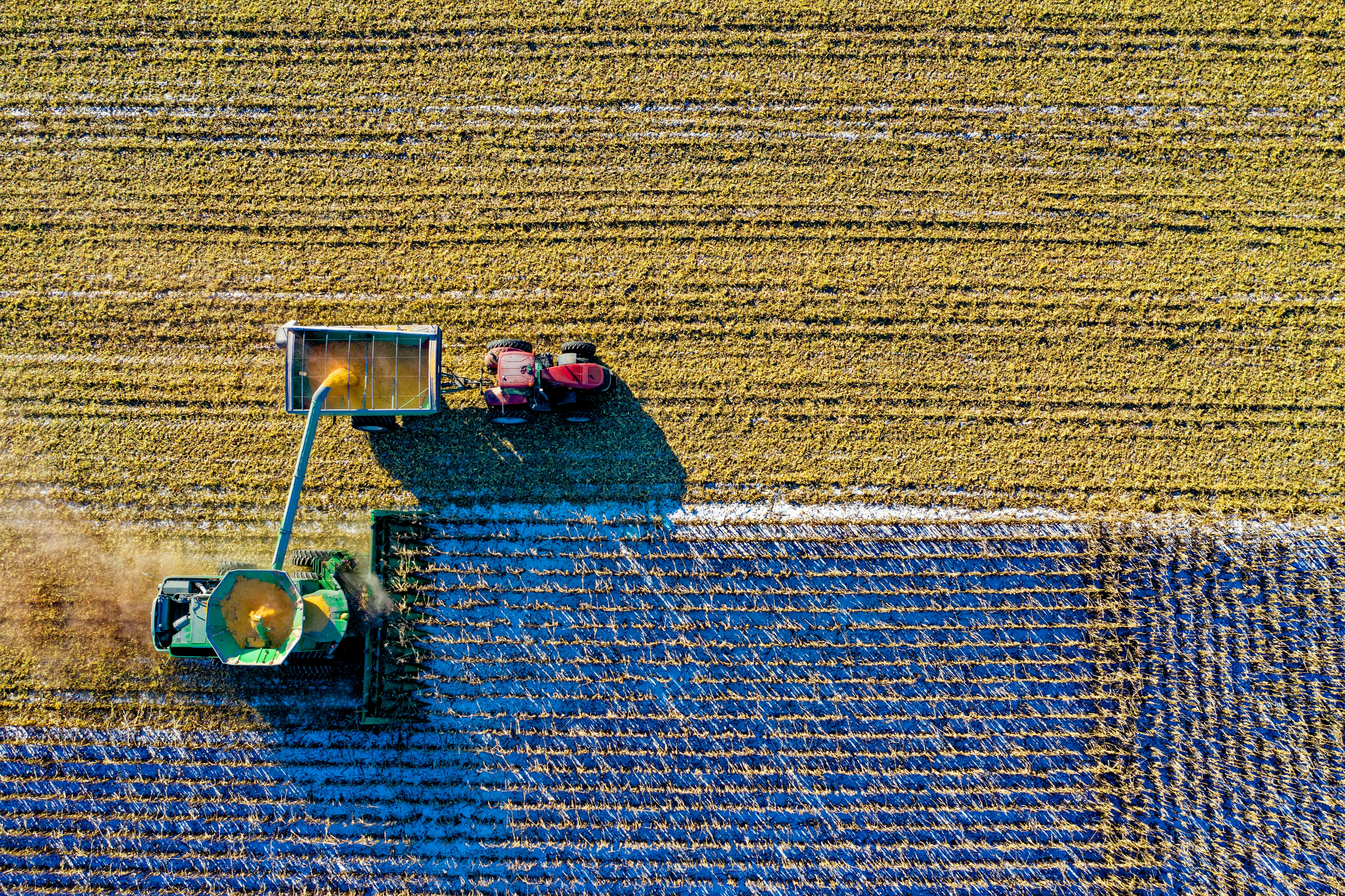 Agroinfluence